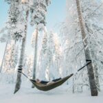 Cocooning in the HaliPuu forest: The ultimate Arctic hammock relaxation - The Unique HaliPuu Hugging Tree Forest