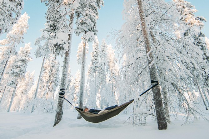 Cocooning in the HaliPuu forest: The ultimate Arctic hammock relaxation - The Unique HaliPuu Hugging Tree Forest