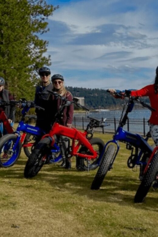 Coeur dAlene: E-Bike Rental - Riding Along the Centennial Trail and Downtown Coeur dAlene