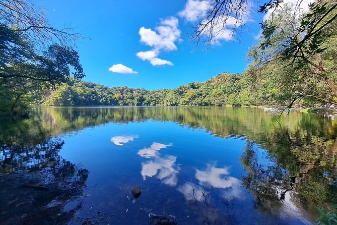 Colima Volcano Cultural Tour: Coffee Plantation, Hacienda and Comala Magic Town - View Pre-Hispanic Pottery at the Ex Hacienda de Nogueras