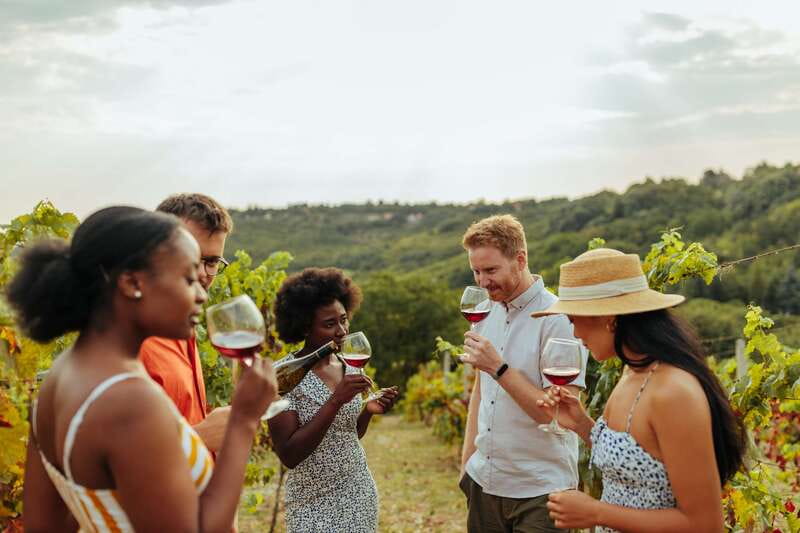 Collingwood: Blue Mountains Wine and Cider Tasting Tour - Starting Point in Blue Mountain Village