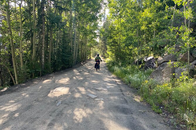 Colorado Rockies 1 Day E-Bike Tour - Riding the Switzerland Trail for Mountain Views