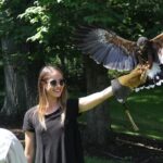 Colorado Springs Hands-On Falconry Class and Demonstration - The Flying Demonstration: Birds in Action