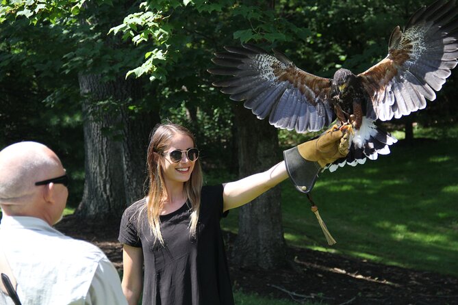 Colorado Springs Hands-On Falconry Class and Demonstration - The Flying Demonstration: Birds in Action