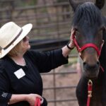 Colorado Springs: Mindfulness with Rescue Mustangs - Scenic Drive to Florissant in Colorado Mountains