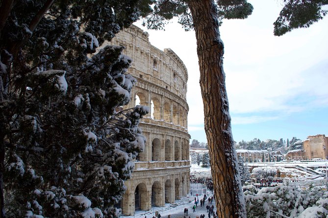 Colosseum, Roman Forum and Palatine Entry - Palatine Hill: The Birthplace of Rome’s Elite