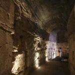 Colosseum Underground Tour and Access to Forum and Palatine Hill - Standing in the Arena Where History Unfolded