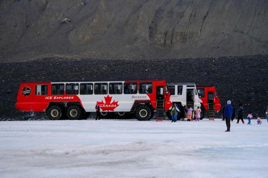 Columbia Icefield Adventure, Bow Lake & Peyto Lake Tour - Convenient Pickup Locations and Times