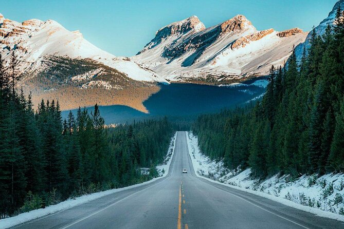 Columbia Icefield Day Tour Ice Explorer and Scenic Views by Coach - Scenic Stop at Bow Lake: A Tranquil Mountain Reflection