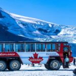Columbia Icefield, Skywalk, Crowfoot Glacier, and Lakes Tour - The Unique Charm of Peyto Lake’s Viewpoint