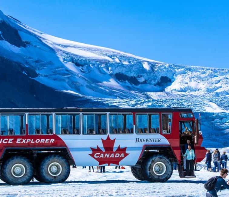 Columbia Icefield, Skywalk, Crowfoot Glacier, and Lakes Tour - The Unique Charm of Peyto Lake’s Viewpoint