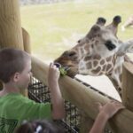 Columbus: Multiple Attractions Pass - Encounter Polar Bears and Arctic Foxes at the Columbus Zoo