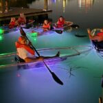 Comb Jelly Bioluminescence Clear Kayak Glow Tour - Nighttime Bioluminescence and Underwater Glow
