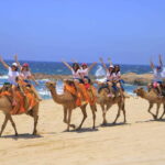 Combo 4X4 Automatic ATV & Camel Ride in Cabo by Cactus Tours - Beach Camel Encounter: A Gentle Ride with Ocean Views