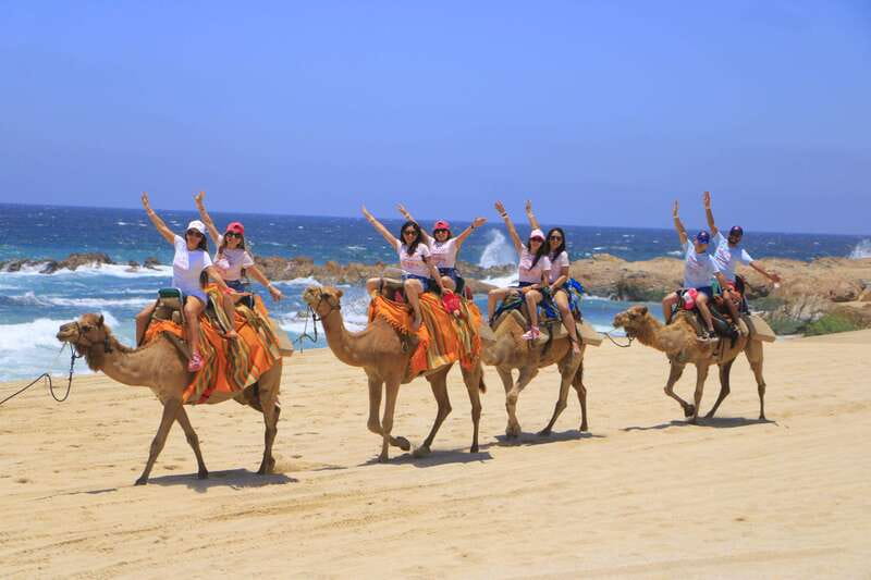 Combo 4X4 Automatic ATV & Camel Ride in Cabo by Cactus Tours - Beach Camel Encounter: A Gentle Ride with Ocean Views