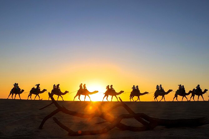 Combo Horseback ride & Sky Bike in Cabo by Cactus Tours Park - Discovering Migriño Beachs Natural Beauty