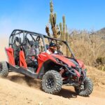 COMBO Horseback Riding & UTV Tour - The Combo Experience: Horseback Riding on Cabo’s Coastline
