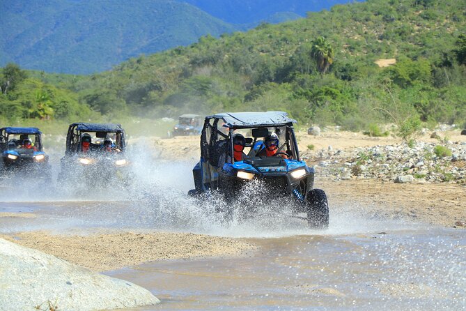 Combo Off Road 4x4 UTV Camel Ride Lunch and Tequila Tasting - Visiting Tierra Sagrada Ranch and Its Secluded Beach