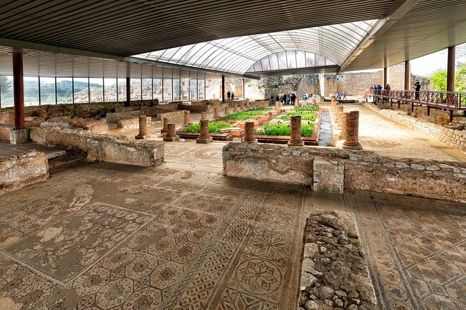 Conímbriga Roman Ruins & Museum - Personalized Tours and Expert Guides