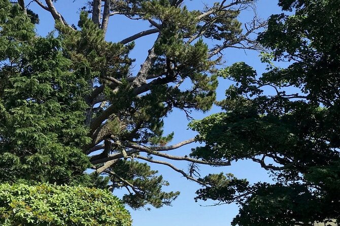 Connemara, Kylemore Abbey and Wild Atlantic Way tour from Galway - Visiting Kylemore Abbey & Its Victorian Walled Garden