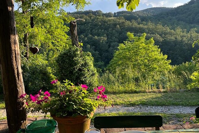 Cooking Class for Pasta Lovers in Florence Country House - Learning to Cook Classic Tuscan Dishes