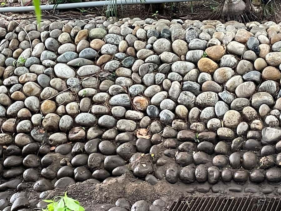 Copalita: Copalita Archaeological Site & La Crucecita Tour - Visiting the Copalita Eco-Archaeological Site with a Certified Guide