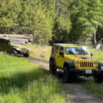 Cordoba: Guided Jeep Tour in Stanislaus National Forest - The Flexibility of Driving Your Own Jeep or Letting an Expert Guide Take the Wheel
