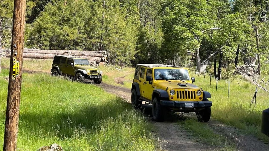 Cordoba: Guided Jeep Tour in Stanislaus National Forest - The Flexibility of Driving Your Own Jeep or Letting an Expert Guide Take the Wheel