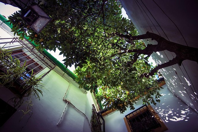 Córdoba Rooftop and Terraces Experience - Walking Through the Puerta del Puente and Old City Walls
