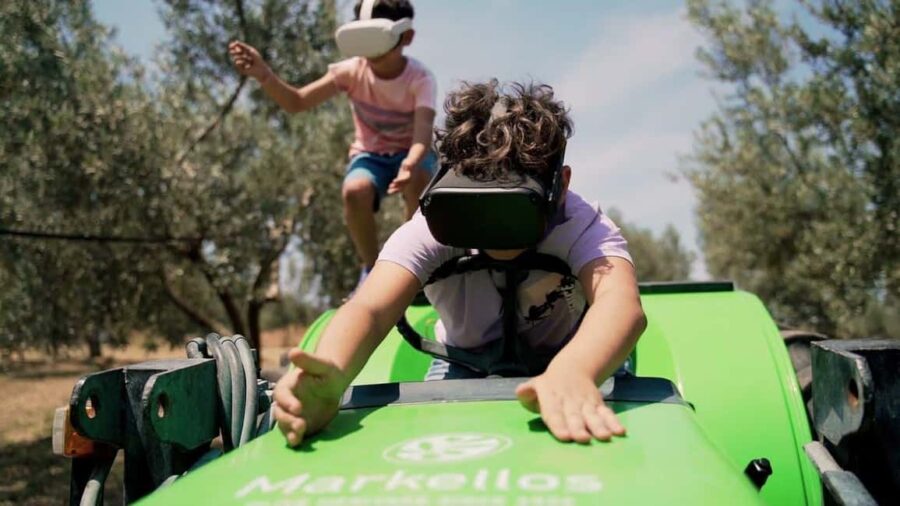 Corinth: Olive Oil Tasting Tour with Transfers - The Charm of the Traditional Olive Grove