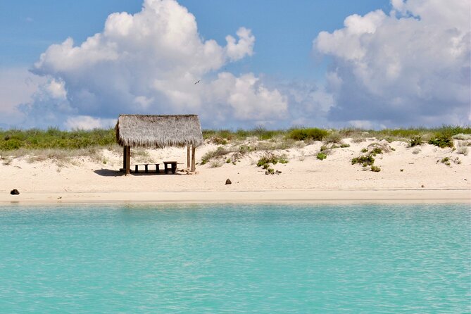 Coronado Island and Snorkel Tour - Loreto’s Coronado Island: The Heart of the Tour
