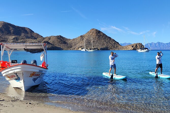 Coronado Island Visit and Sea Lions Swimming - Snorkeling with Sea Lions: A Signature Moment