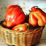 Cortona: Pasta and Pizza Cooking Class - What to Expect During the Cooking Class with Simonetta