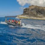 Corvo Boat Trip - Exploring Corvo Islands Volcano and Village