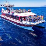 Costa Adeje: Whale & Dolphin Submarine Vision Mini Cruise - Departure Point at Puerto Colón and Meeting Details