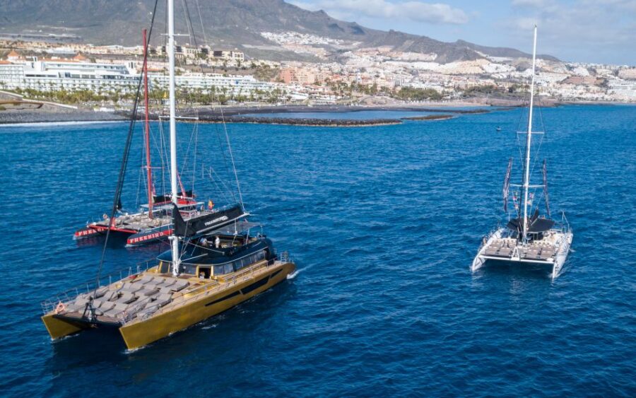 Costa Adeje: Whale Watching Cruise with Snack and Drinks - Starting Point at Puerto Colón for Smooth Boarding