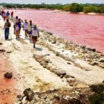 Costa Esmeralda 5 en 1 - Visiting the Xcambó Archaeological Zone for Mayan History