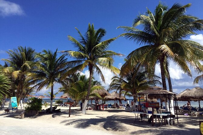 Costa Maya All Included Beach Break from Cruise Port - A Beach Location Focused on Relaxation and Water Activities
