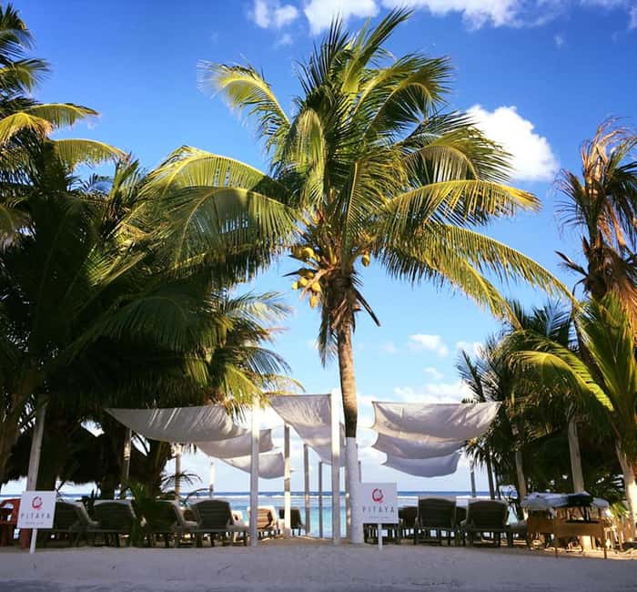 Costa Maya: Beach with Open Bar, Massage, Lunch & Snorkeling - Easy Access from the Cruise Port to Mahahual