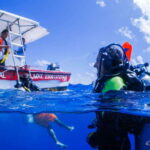 Costa Maya: Discover Scuba Diving Reef Experience - Classroom and Shallow Water Training for Confidence