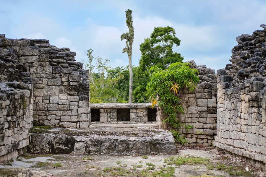Costa Maya: Exclusive Kohunlich Ruins Premier Tour - The Route to Kohunlich from Costa Maya
