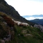 Countryside & Coast Private tour - Zumaia’s Famous Flysch and Natural Geological Wonder
