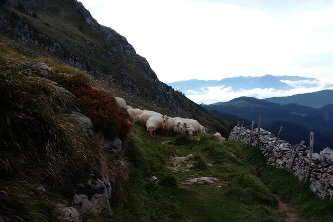 Countryside & Coast Private tour - Zumaia’s Famous Flysch and Natural Geological Wonder