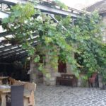 Countryside Half-day Wine Tour near Budapest with Meal and Pickup - Visiting Small, Family-Owned Wineries with Personal Touches