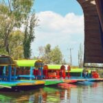 Coyoacán and Xochimilco Private Tour - Exploring Coyoacán’s Artistic Heritage and Bohemian Streets