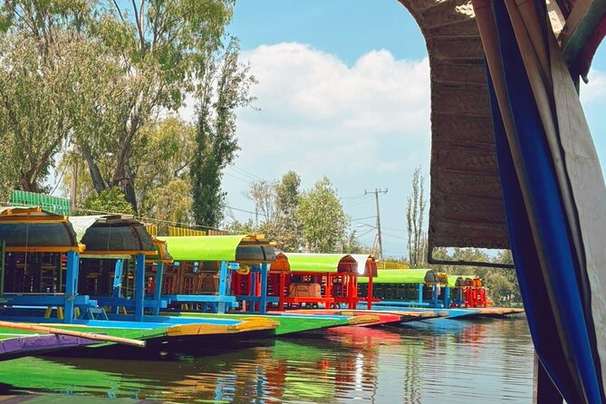 Coyoacán and Xochimilco Private Tour - Exploring Coyoacán’s Artistic Heritage and Bohemian Streets
