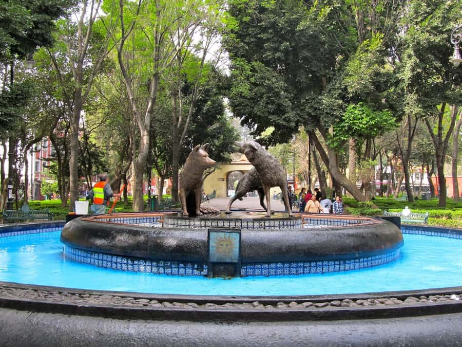 Coyoacán at night: a tour of legends, mysteries, and stories of Mexico City - Exploring Coyoacán’s Historic Streets at Night