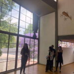 COYOACAN: FRIDA KAHLO STEPS IN COYOACAN AND SAN ANGEL CDMX - Starting Point and Logistics of the Tour