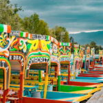Coyoacán & Xochimilco: Discover an oasis in Mexico City - The Artistic Charm of Coyoacán’s Main Square