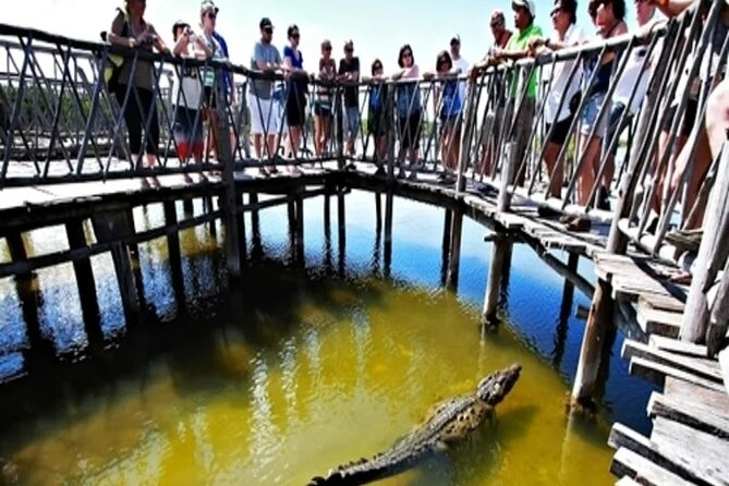 Cozumel 4x4 Adventure Punta Sur and Virgin Beach All Inclusive - Exploring Punta Sur Eco Park: The Heart of the Tour